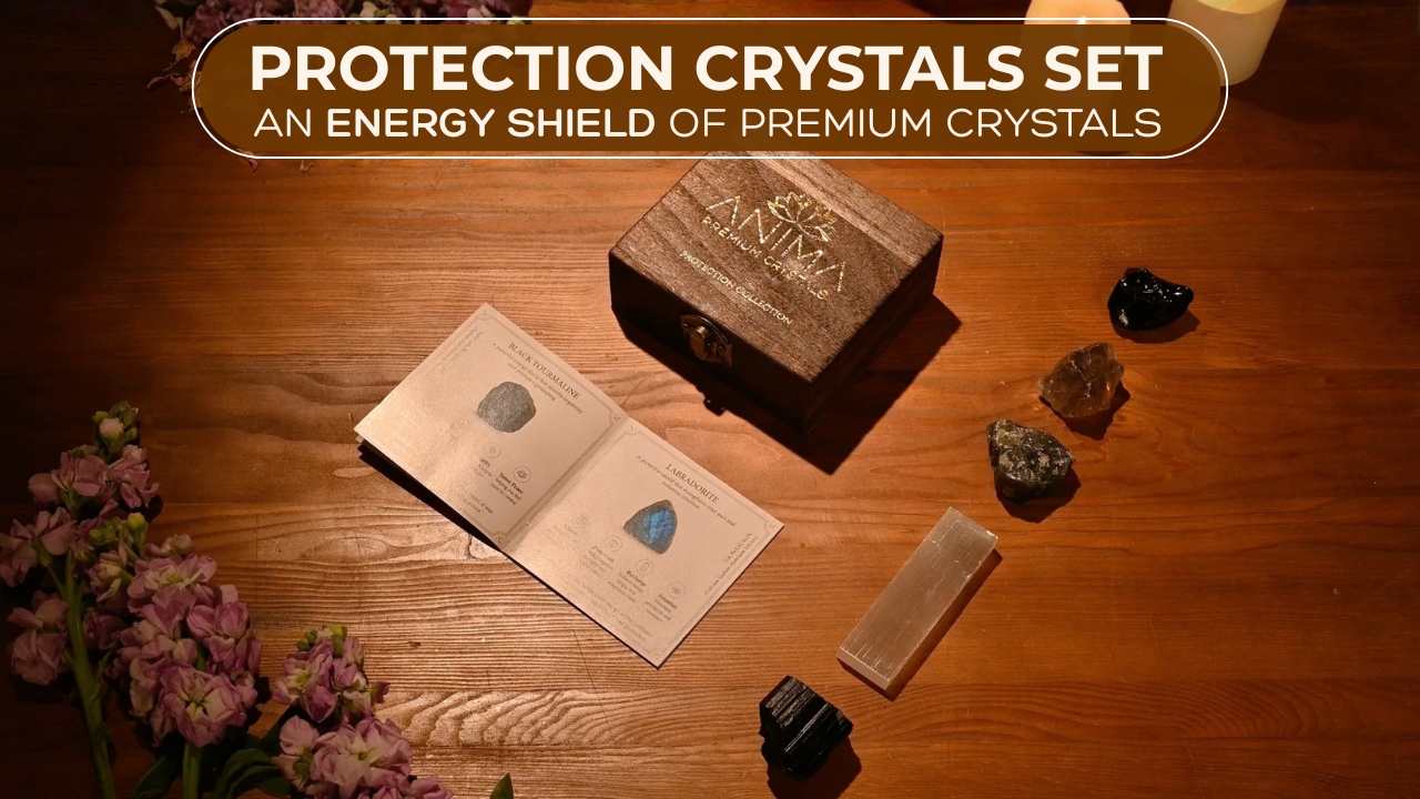 Amazon.com: Anima Premium Protection Healing Crystals Set for